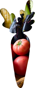 辿り着いたのは旬の野菜を自分で作ること